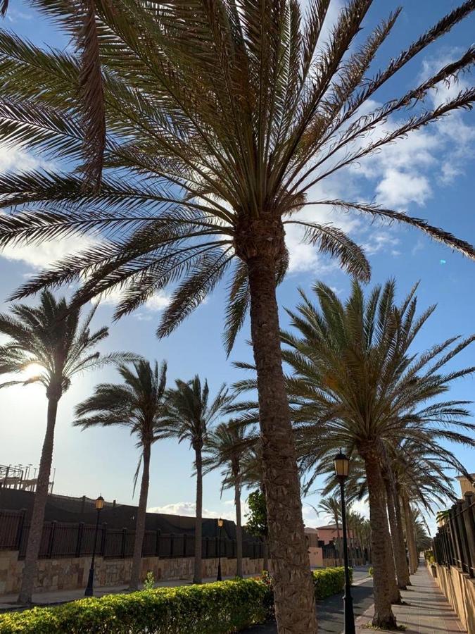 La Tunera Fuerteventura كوراليهو المظهر الخارجي الصورة